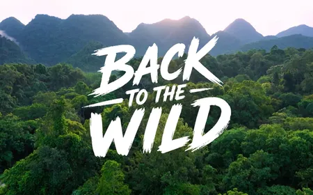 Back to the wild | I-Report