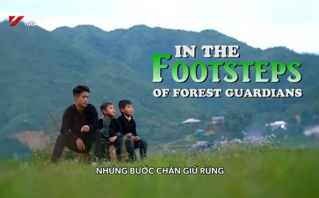 In the Footsteps of Forest Guardians | The Lens