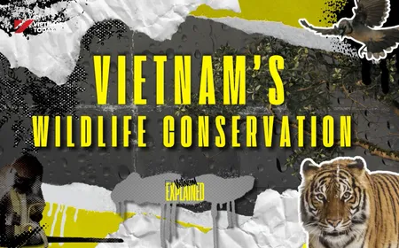 Into Vietnam’s Wildlife | Vietnam Explained