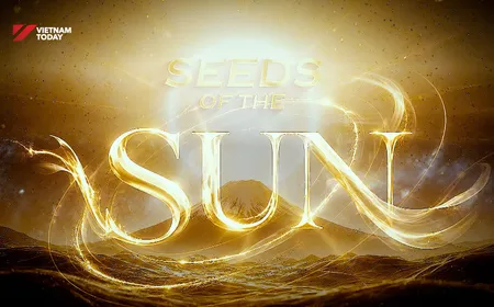 Seeds of the Sun | Insights