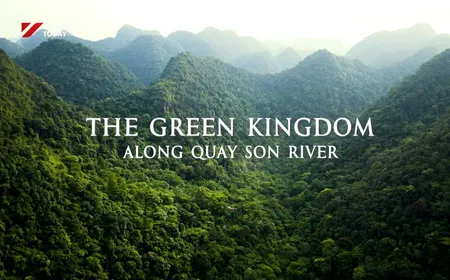 The Green Kingdom Along Quay Son River | Insights