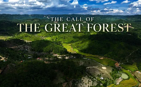 The call of the great forest | Vietnam Destination