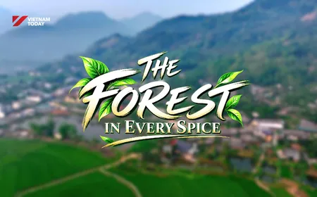 The Forest in Every Spice | Flavours and Beyond