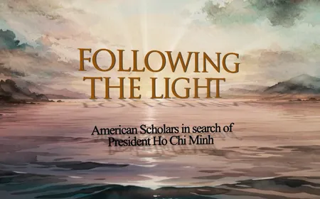 Following the Light | Insights