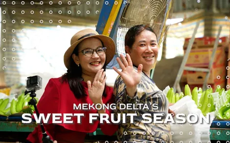 The Mekong Delta’s sweet fruit season | Vibes of Vietnam