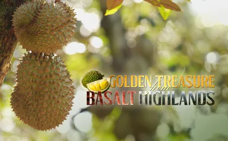 Golden Treasure from Basalt Highlands | Local Towards Global