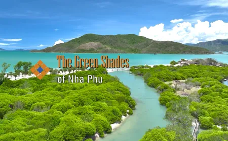 The green shades of Nha Phu | The Rhythms of Vietnam