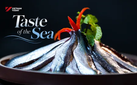Taste of the Sea | Vietnam Destination