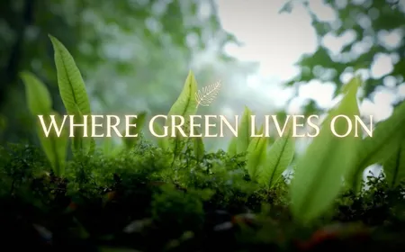 Where green lives on | Vibes of Vietnam