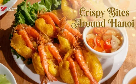 Crispy Bites Around Hanoi | Street Food