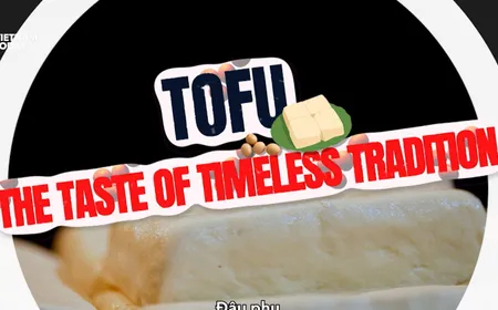 Tofu - The Taste of Timeless Tradition | Flavours & Beyond