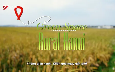 Green Space - Rural Hanoi | Check-in Guide