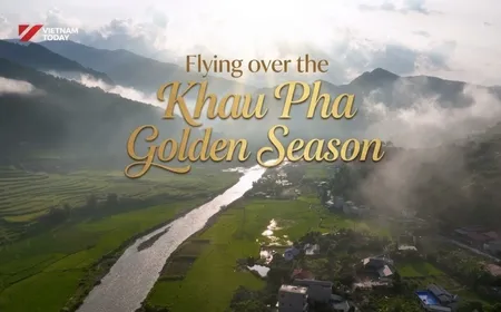 Flying over the Khau Pha Golden Season | Vibes of Vietnam