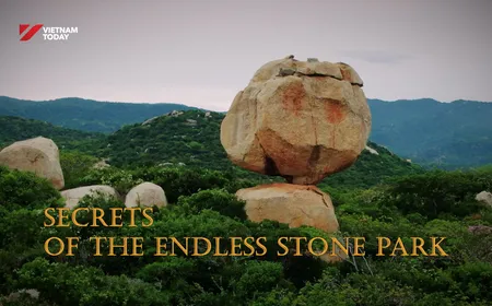Secrets of the Endless Stone Park | Insights