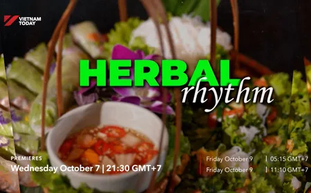 Herbal Rhythms | Flavours & Beyond