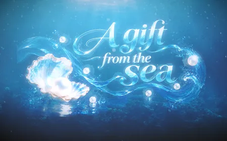 Gift from the Sea | Vietnam Destination