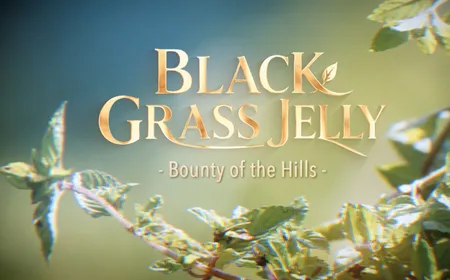 Black Grass Jelly - Bounty of The Hills | Local Towards Global