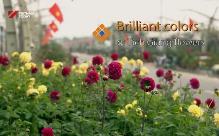 Brilliant Colors of Tich Giang Flowers | The Rhythms of Vietnam