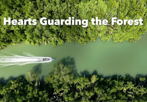 Hearts Guarding the Forest - Insights