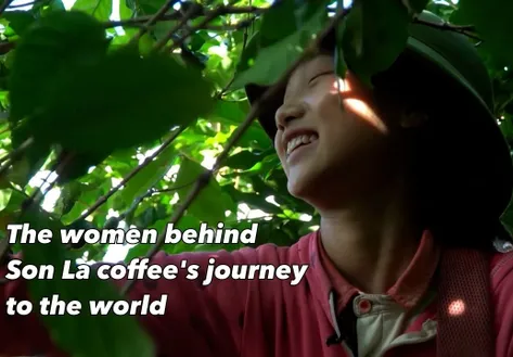 The women behind Son La coffee's journey to the world - Vibes of Vietnam