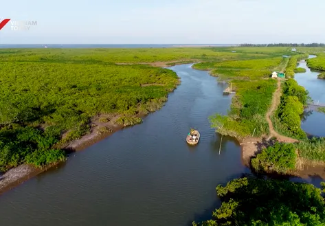 Sustainable livelihood under the mangrove trees