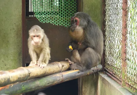 Sapa's Haven for Wildlife