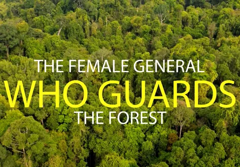 The female general who guards the forest - Vibes of Vietnam