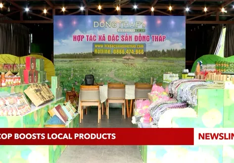 OCOP boosts local products