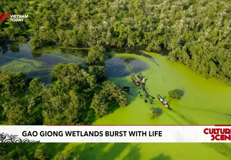 Gao Giong wetlands burst with life