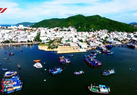 The flavour of the sea - Vibes of Vietnam