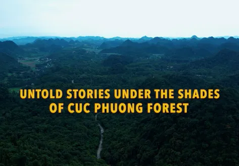 Untold stories under the shades of Cuc Phuong forest - Discovery