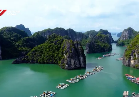 Exploring Quang Ninh’s world heritage | Discovery