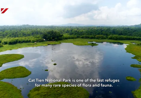The wildlife of Cat Tien - Insights