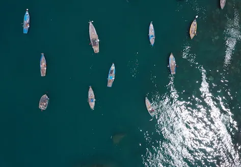 Cham Island: A land of rich culture - Discovery