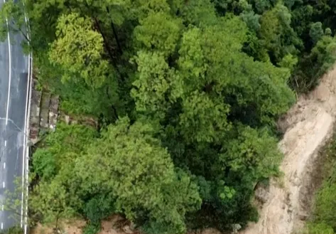 Severe Landslides Hit Central and Central Highlands Vietnam