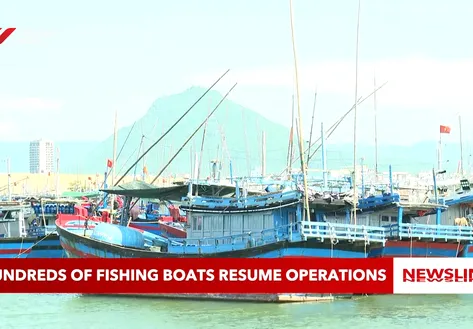 Hundreds of fishing boats resume operations