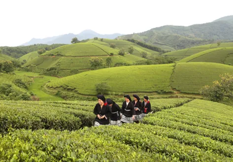 Remembering the youth economic zone