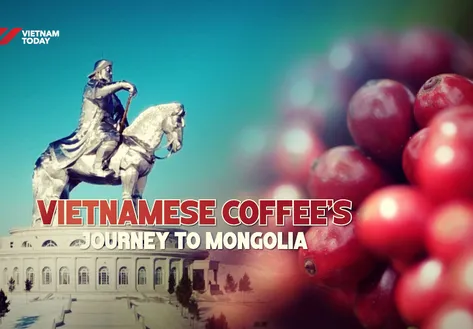 Vietnamese coffee’s journey to Mongolia | Local Towards Global