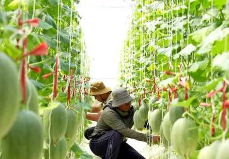 Boosting sustainable farming in dry regions