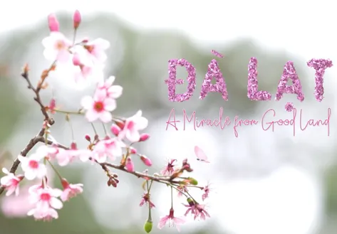 Đà Lạt - A Miracle from good land | Local Towards Global