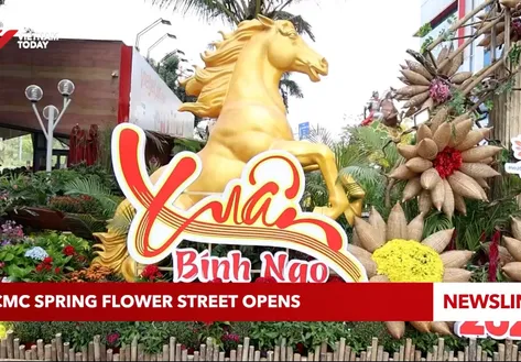 Hồ Chí Minh City Spring Flower Street opens