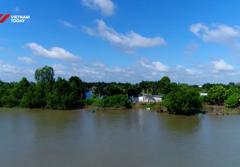 Cồn Sơn Islet transforms through agritourism development | Vibes of Vietnam