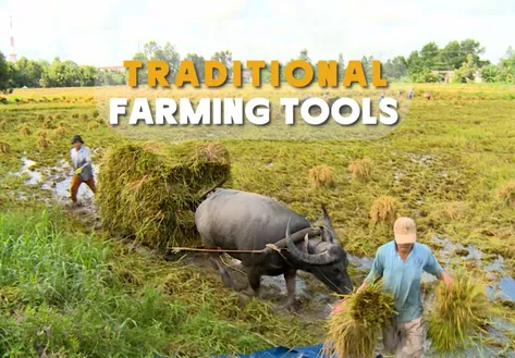 Traditional farming tools | Vibes of Vietnam