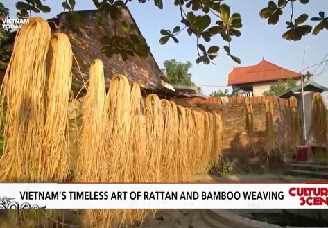 Việt Nam’s timeless art of rattan and bamboo weaving