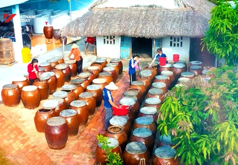 Modern Technology Revitalises Traditional Fish Sauce | Vibes of Vietnam