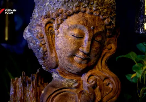 Lâm Sơn Wood Root | Vibes of Vietnam