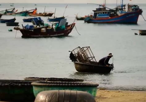 Where the Sea Shapes Life | Hidden Charm