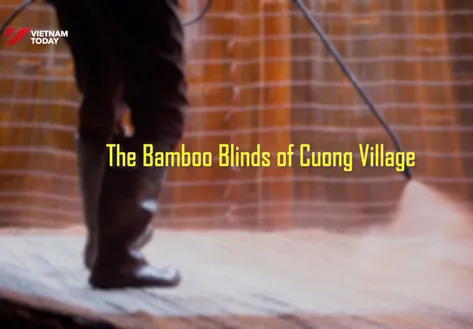 The bamboo blinds of Cường village | Vibes of Vietnam