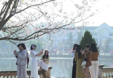 Culture Mosaic | 14.03.2026