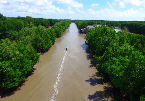 Sustainable livehoods under the mangrove canopy | Vibes of Vietnam